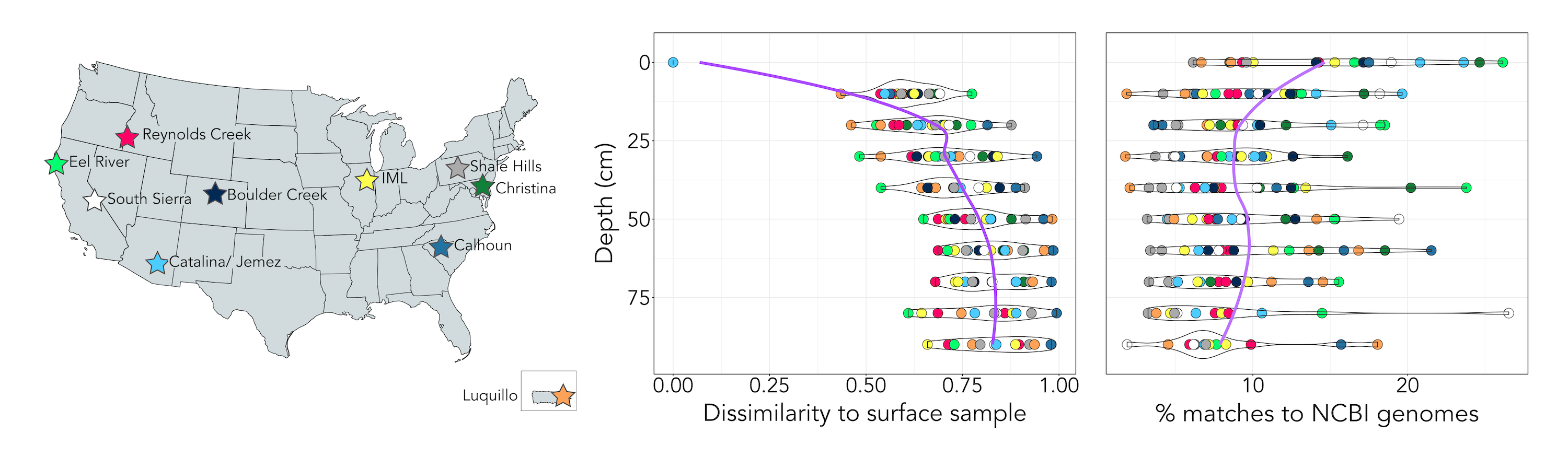 Deeper soils have weirder inhabitants
